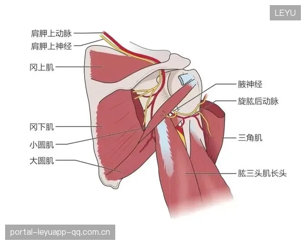 多特蒙德拟引入先进康复设备提升伤后恢复效率